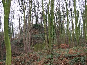 Overgrown Remains of Horsley Castle - geograph.org.uk - 299788