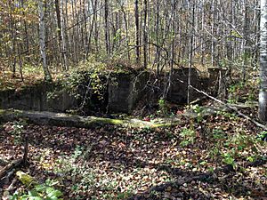Ruins and Crumbling foundation of the Fitger Hotel