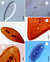 Parasite140015-fig2 Protoopalina pingi (Opalinidae) Microscopy.tif