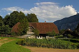 Bernese farmhouse at the Ballenberg Open Air Museum near Brienzwiler village