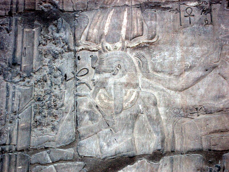 PictureAmnhIII 390
