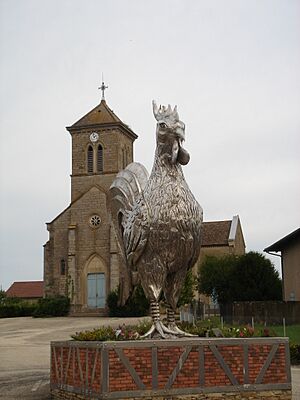 Poulet Mantenay