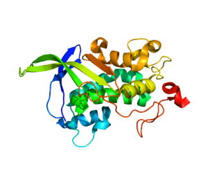 Protein NPC1 PDB 3GKH