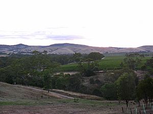 Rowland Flat in the Barossa Valley