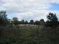 Rowley Lodge Field 2