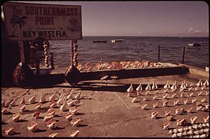 SOUVENIR SEASHELLS FOR SALE AT THE SOUTHERNMOST POINT OF THE UNITED STATES - NARA - 548545