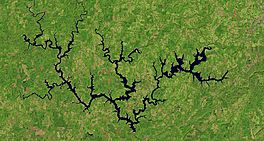Satellite Image of Lewis Smith Lake.jpg