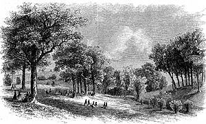 Scene in the Valley of Mill Cove Brook, Vassar College, 1867