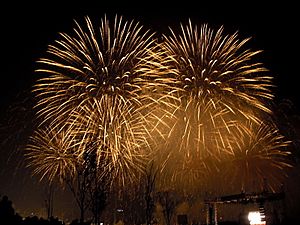 Seoul international fireworks festival 2011-003