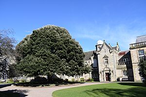 St Mary's Quad, St Andrews - geograph.org.uk - 5484398