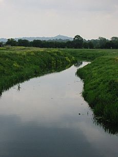 The River Brue, Westhay - geograph.org.uk - 192924