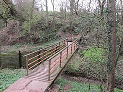 The footbridge over Boomby Gill (geograph 2885145).jpg