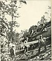 The photographic history of the Civil War - thousands of scenes photographed 1861-65, with text by many special authorities (1911) (14782548653)