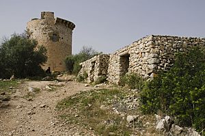 Torre del Cap Andritxol-pjt