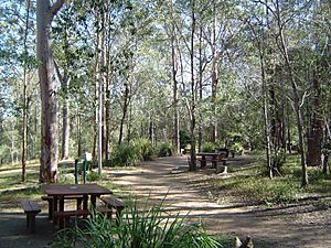 Venman Bushland National Park picnic area
