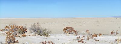 View across the gypsum playa of Salt Flat, Hudspeth County, Texas
