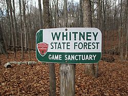 Whitney State Forest Virginia border sign