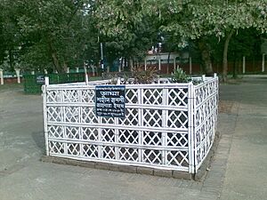12122009 Jahanara Imam Grave photo RanadipamBasu