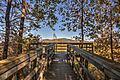 16 23 414 black rock