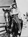 1964 Destry John Gavin