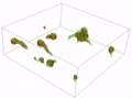 3D-visualization of Aspergillus niger spore germination