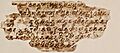 5th or 6th century Weber Manuscript 5, Central Asian Paper, Central Asian Nagari (Turkestani Brahmi), Sanskrit