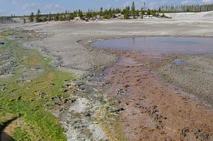 Algae on left bacteria on right at Norris Geyser Basin in Yellowstone