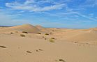 Algodones Dunes Wilderness Area (30288877613).jpg