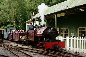 Amberley Museum (28235095152)