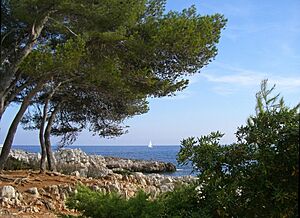 Antibes, Alpes Maritimes, France