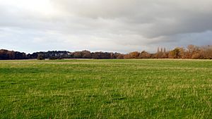 Argleton, view from Bold Lane