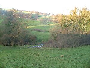 Atlow Moat. - geograph.org.uk - 291278