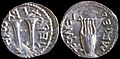 Bar Kokhba Coin