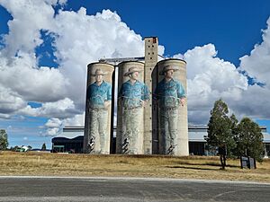 Barraba Silos, Barraba, New South Wales