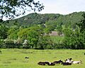 Bickerton Hill
