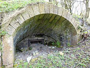Blacksyke Lime Kilns, Caprington, East Ayrshire - one of the kiln eyes - west side