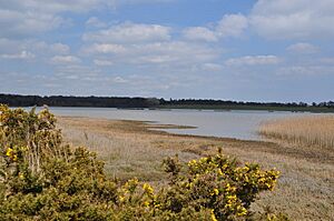Blythburgh Reserve - geograph.org.uk - 1829343