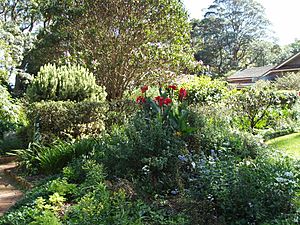 Boyce gardens - cottage garden and mixed border