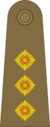 British Army (1920-1953) OF-2.svg