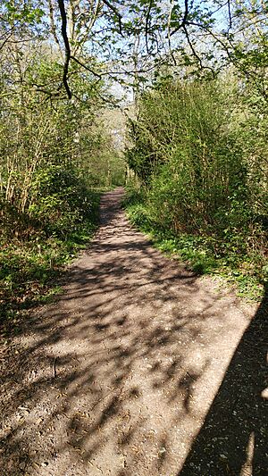 Clayfield Copse - footpath