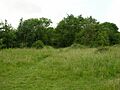 Clifton Backies - geograph.org.uk - 23056