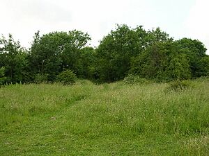 Clifton Backies - geograph.org.uk - 23056