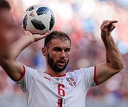 Stefan Mitrović (footballer, born August 2002) - Wikipedia