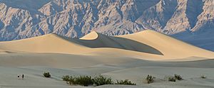 Death Valley Mesquite Flats Sand Dunes 2013