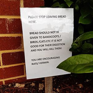 Don't feed bread to bandicoots, Armadale, WA, Australia