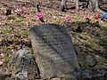 Dunham-cemetery-edgar-evins-tn1