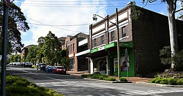 Elizabeth Street Artarmon 001.jpg