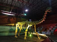 Epachthosaurus skeleton mount.jpg