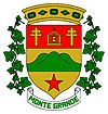 Official seal of Monte Grande