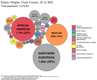 Ethnic Origins in Cook County, IL